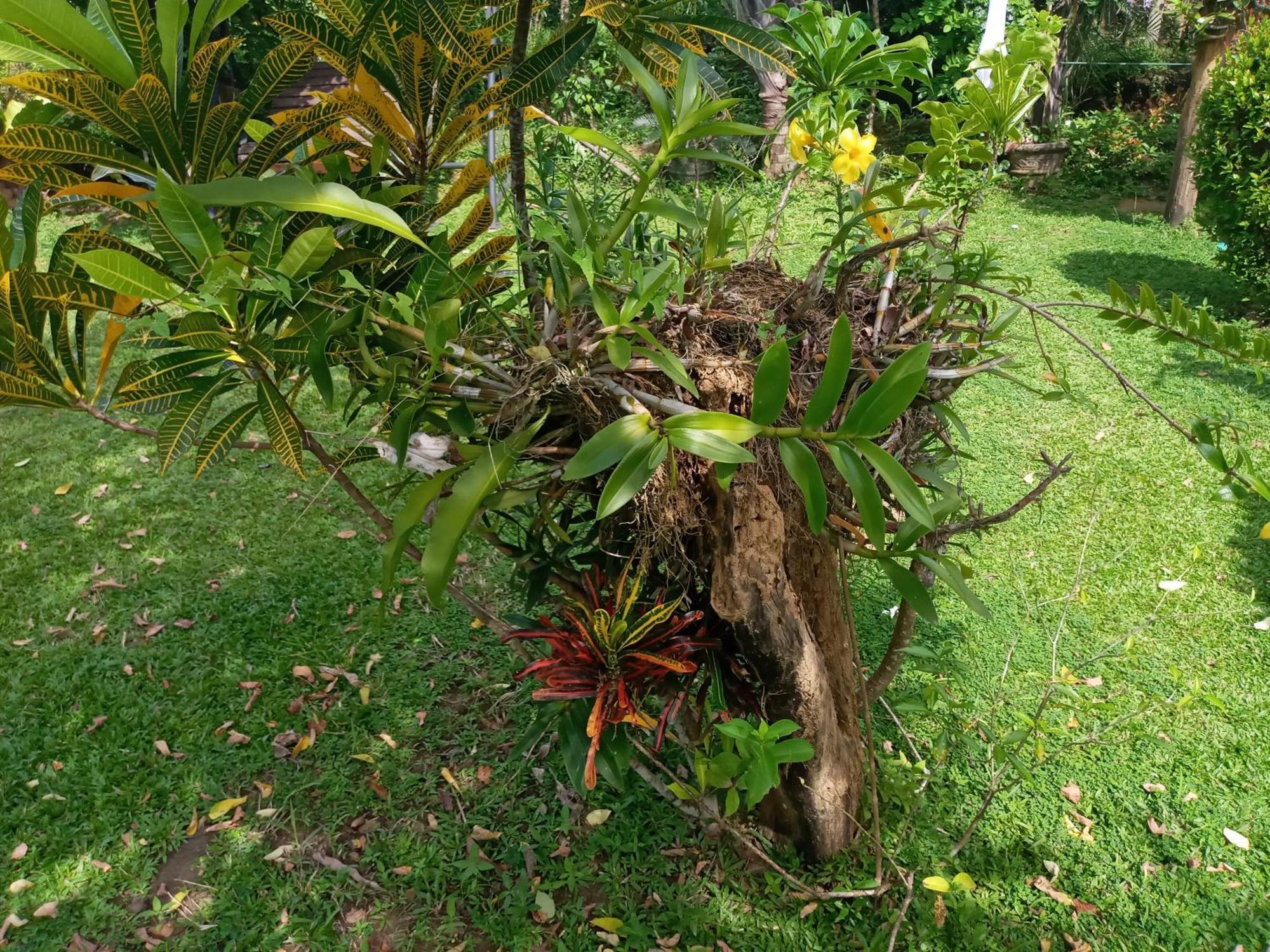 Sunny Side Villa Tangalle Exterior photo